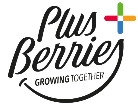 Plus Berries, Las increíbles aventuras de las súper berries
